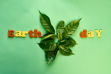 Similar image 20873822