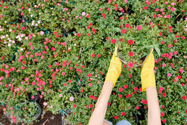 Similar image 20869417