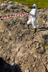 Similar image 20829017