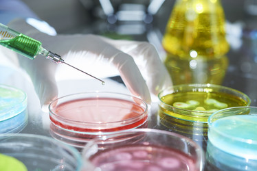 Similar image 20848037