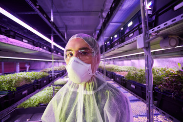 Similar image 20828482