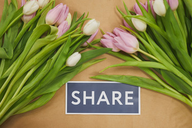 Similar image 20793695