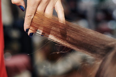 Similar image 20848887