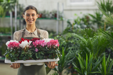 Similar image 20837325