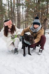 Similar image 20809609