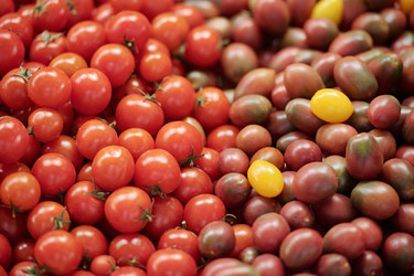 Similar image 20819179