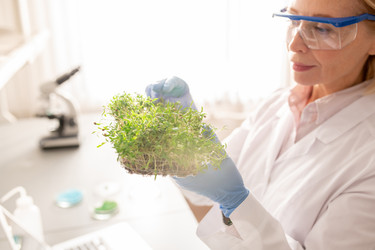 Similar image 20881332