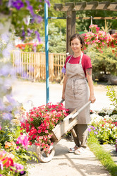 Similar image 20882987