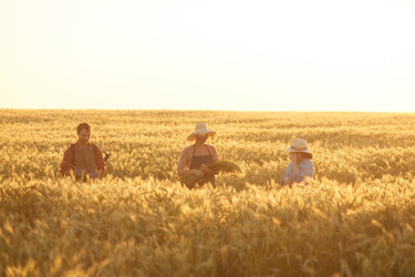 Similar image 20833166