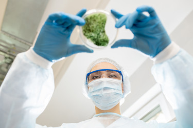 Similar image 20855196