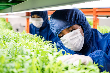 Similar image 20848830