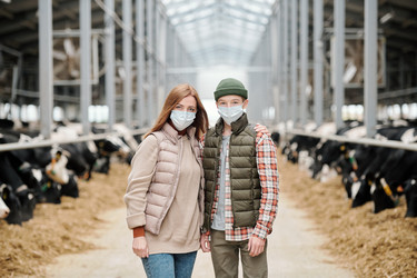 Similar image 20799184