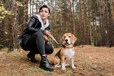 Similar image 20854696