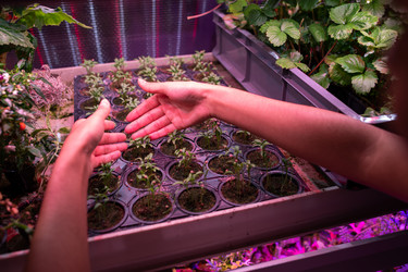 Similar image 20824986