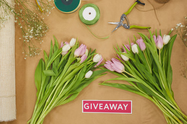 Similar image 20831500