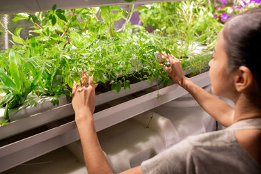 Similar image 20812020