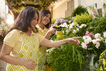 Similar image 20869893