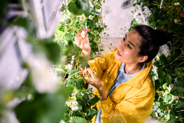 Similar image 20874401