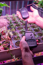 Similar image 20818454