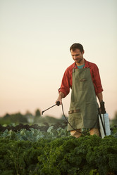 Similar image 20826433