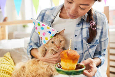 Similar image 20882483