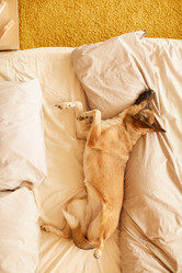 Similar image 20791179