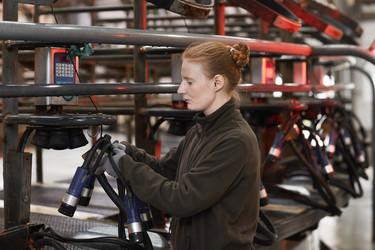 Similar image 20817465