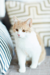 Similar image 20806131