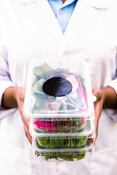 Similar image 20875333