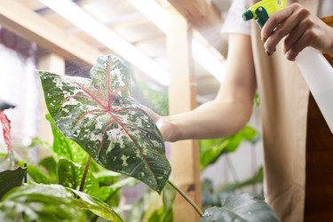 Similar image 20838423