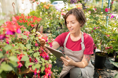 Similar image 20875270