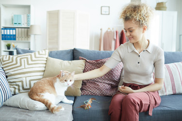 Similar image 20804412