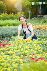 Similar image 20888872