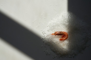 Similar image 20804894