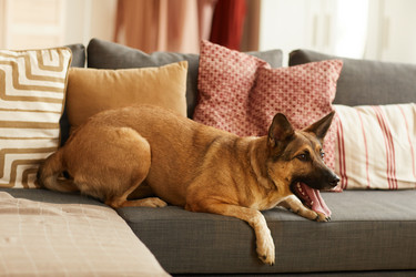 Similar image 20823447