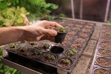 Similar image 20816826