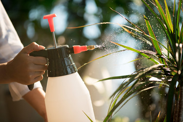 Similar image 20849480