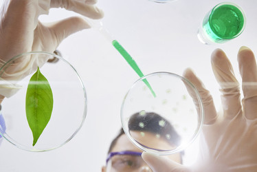 Similar image 20874972