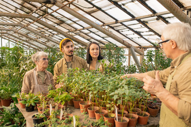 Similar image 20828908