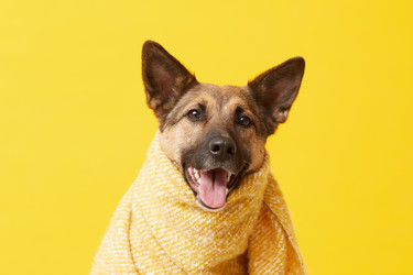 Similar image 20824425