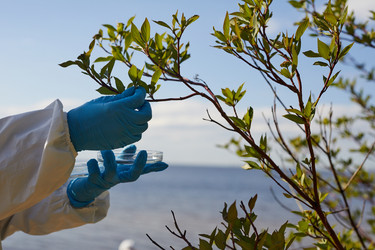 Similar image 20821268