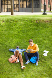 Similar image 20855200