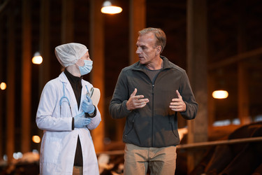 Similar image 20802130