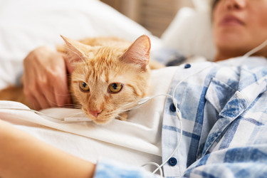 Similar image 20886136