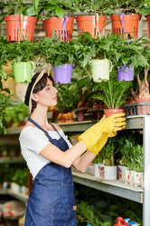 Similar image 20880032