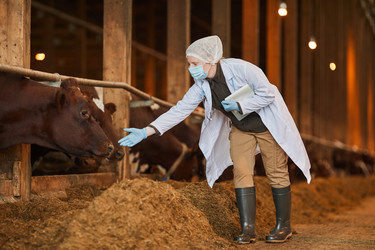 Similar image 20799016