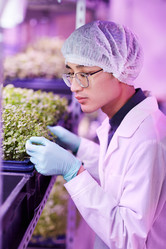 Similar image 20822047