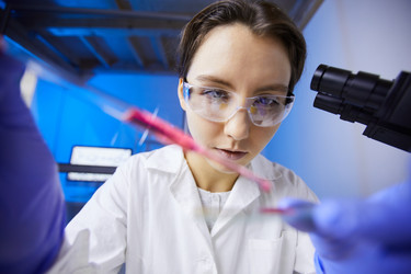 Similar image 20889459