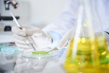 Similar image 20878458