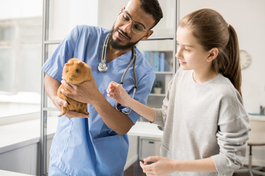 Similar image 20859488